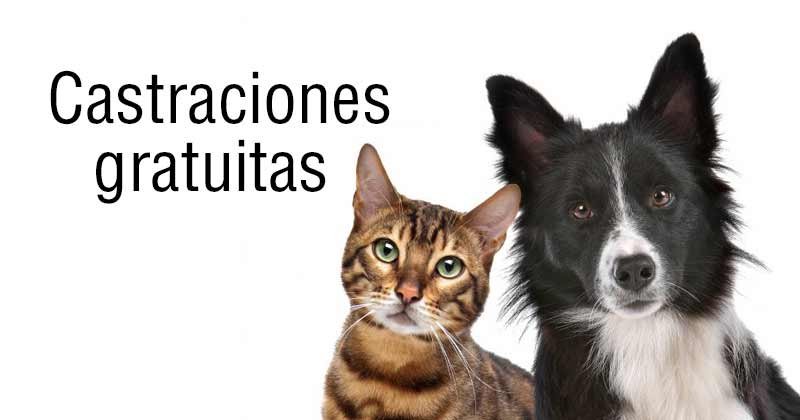 castraciones gratuitas
