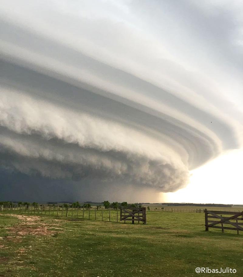 Nuevo Berlin Ribasjulito