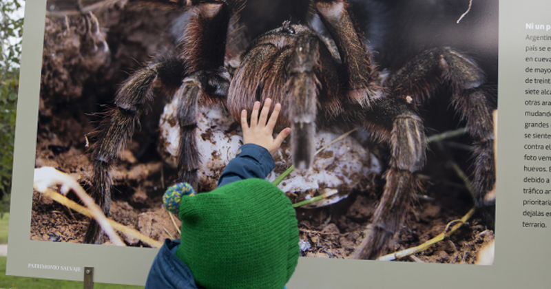 muestra fotografica en el prado