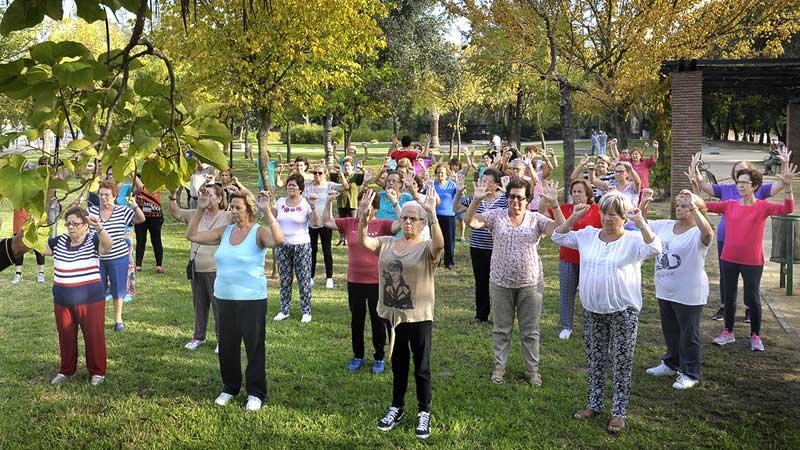 gimnasia para adultos mayores