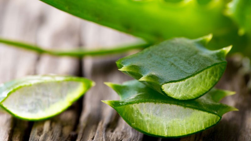 propiedades del aloe