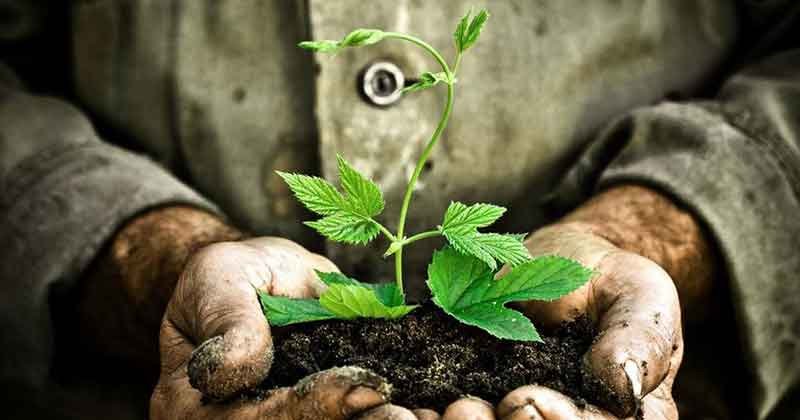 Dia Mundial del Medio Ambiente World Environment Day