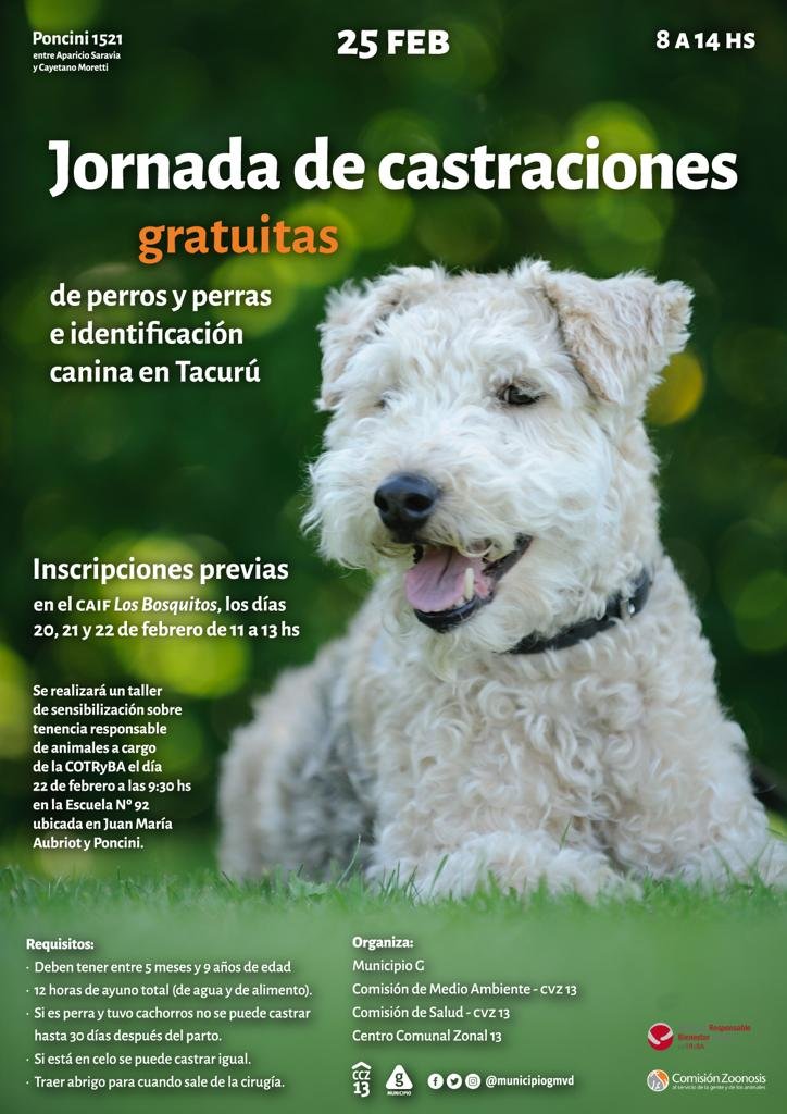 afiche de castraciones 2019