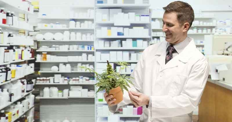 listado de farmacias cannabis uruguay