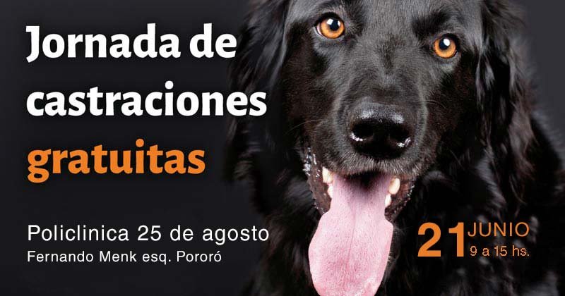 castraciones Policlinica 25 de agosto