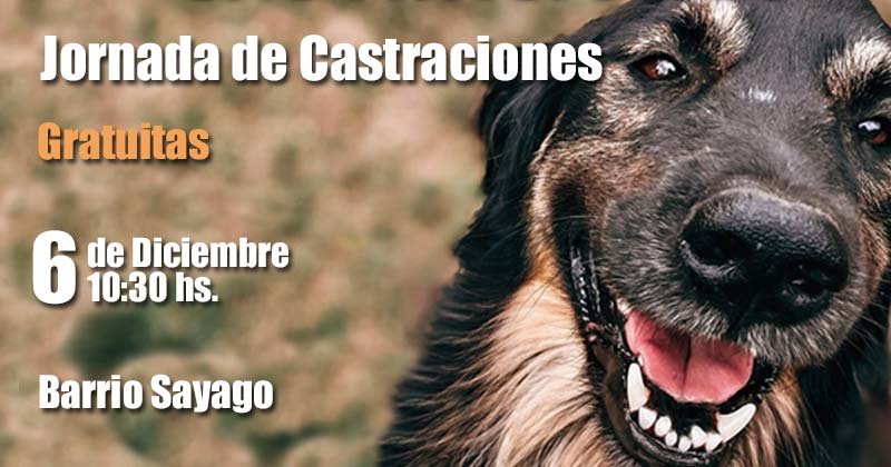 castraciones barrio sayago