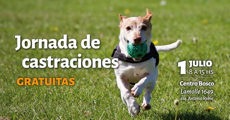 castraciones gratuitas julio 2019