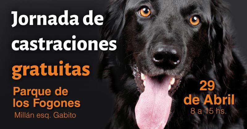 castraciones gratuitas parque de los fogones