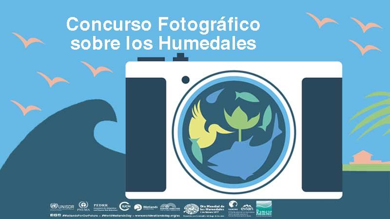 concurso de fotografia