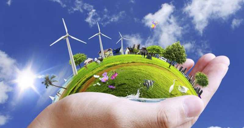 concurso de medio ambiente