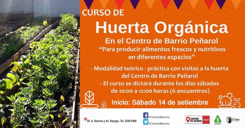 curso de huerta organica setiembre 2019
