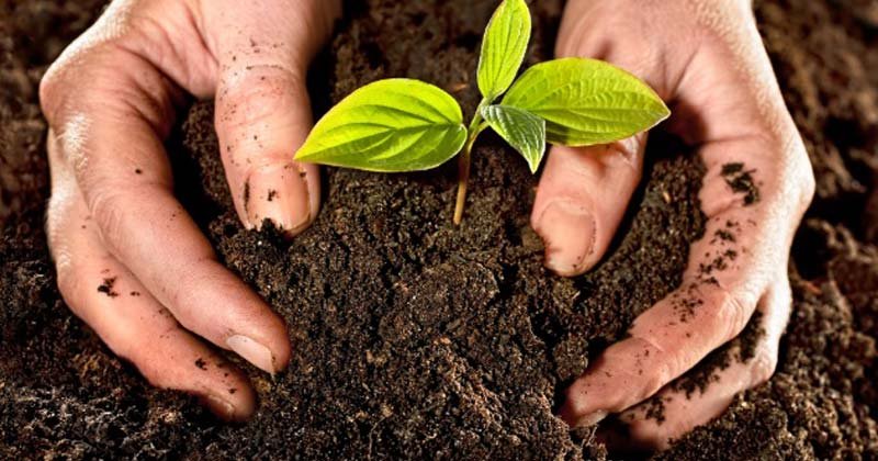 curso en linea de compostaje