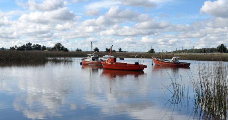 dia mundial del medio ambiente