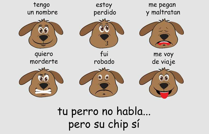 tu perro no habla pero su chip si