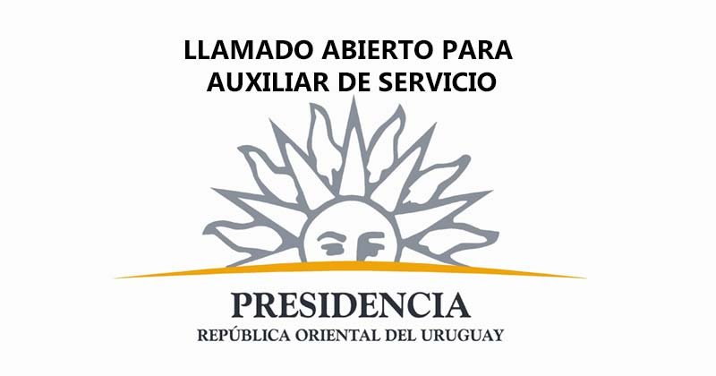 llamado de axililiar de servicio presidencia