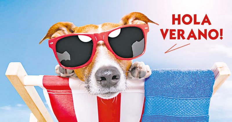 llego el verano