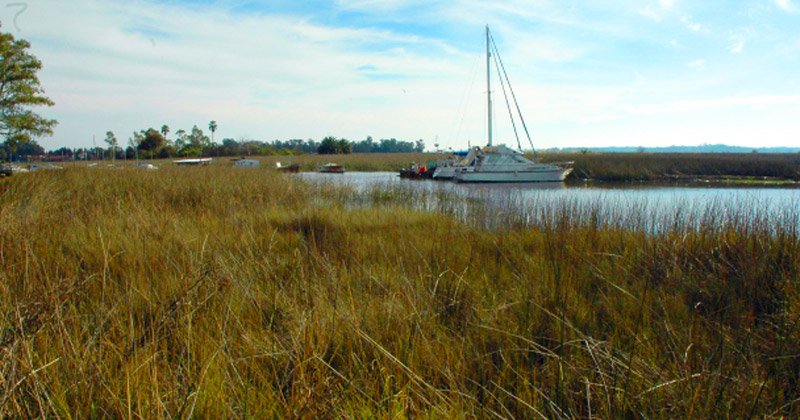 paseos por el medio ambiente