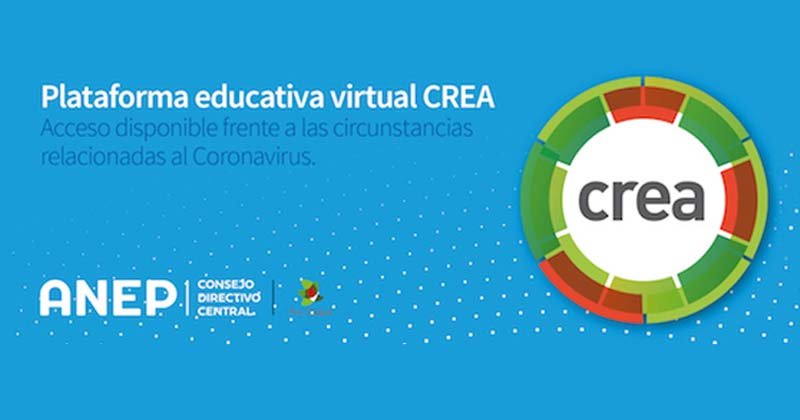 plataforma crea 2020