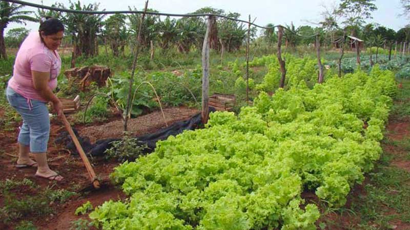 somos productores familiares