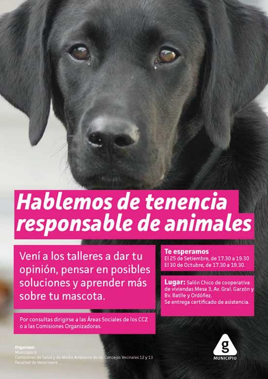tenencia responsable