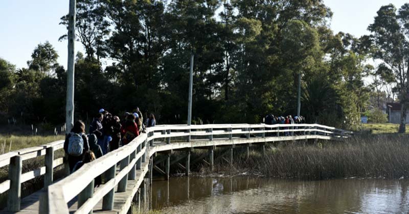 vistiaa los humedales