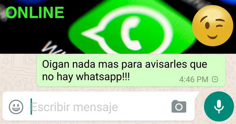 whatsapp online b