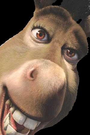shrek_burro1